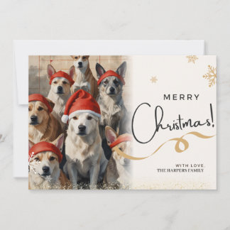 犬のクリスマスグリーティングカード シーズンカード