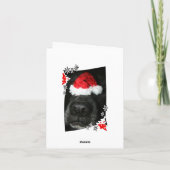 犬のクリスマスハットの鼻、黒いラボのミックス犬 シーズンカード (裏面)