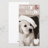犬のクリスマスフォトカード シーズンカード (正面/裏面)