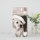 犬のクリスマスフォトカード シーズンカード (スタンド正面)