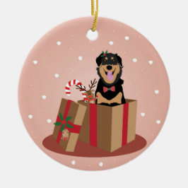 犬のクリスマスプレゼント セラミックオーナメント