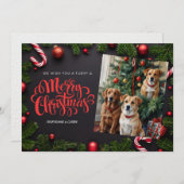 犬のクリスマスホリデーカード シーズンカード (正面/裏面)