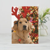 犬のクリスマス遊グループのファーフレンド シーズンカード (スタンド正面)