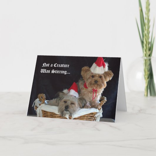 犬のクリスマス シーズンカード (正面)
