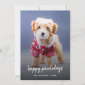 犬のクリスマス |可愛モダンい子犬の幸せな休日 シーズンカード (正面)