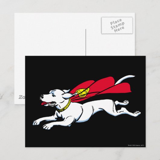 犬のクリプト ポストカード (正面/裏面)