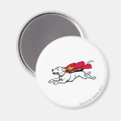 犬のクリプト マグネット (正面/裏面)