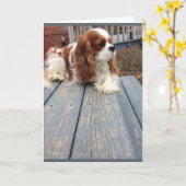 犬のグリーティングカード カード (黄色い花)