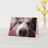 犬のグリーティングカード カード (黄色い花)