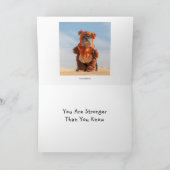 犬のコスチュームカード カード (内部)