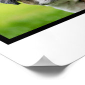 犬のコラージュカスタマイズ-  4枚の写真 ポスター (角)