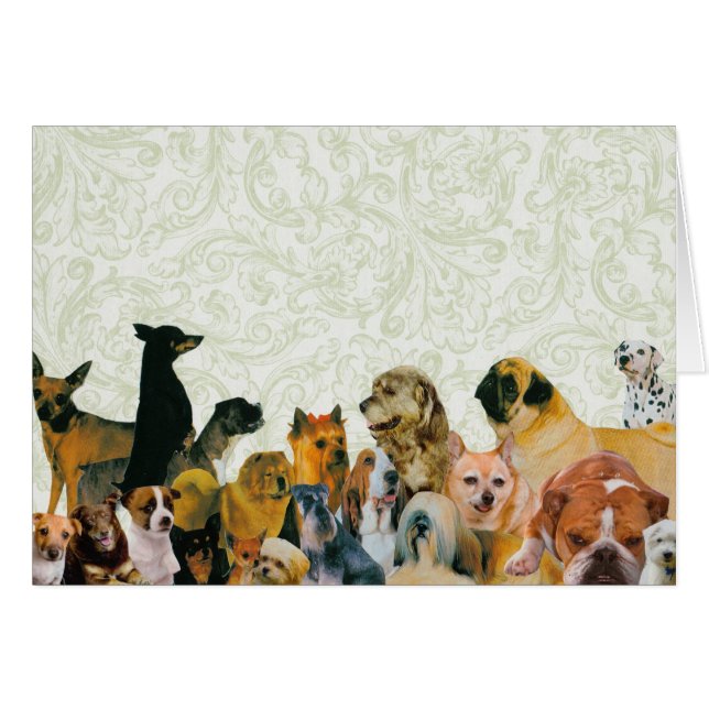 犬のコラージュカードの多く (正面横)
