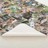 犬のコラージュ シェルパブランケット (3/4)