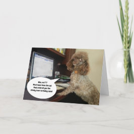 犬のコンピュータ上で、猫のおもしろい誕生日 カード