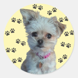 犬のシール ラウンドシール