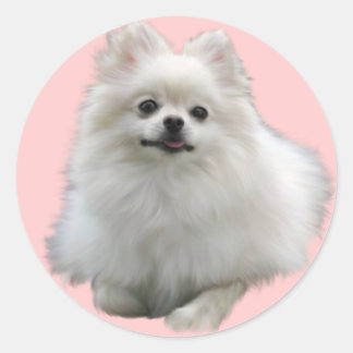 犬のシールLrg ラウンドシール