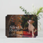 犬のジャック・ラッセル・テリア見上げる (スタンド正面)