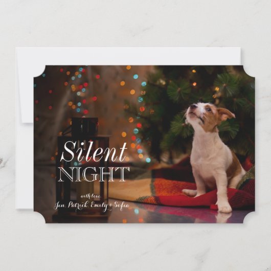 犬のジャック・ラッセル・テリア見上げる (正面)