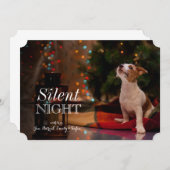 犬のジャック・ラッセル・テリア見上げる (正面/裏面)