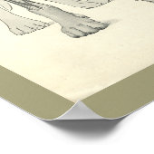 犬のスカル脚スケルトン筋肉解剖学プリント ポスター (角)