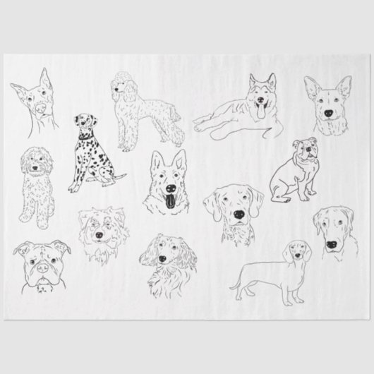 犬のスケッチ 薄葉紙 (正面)