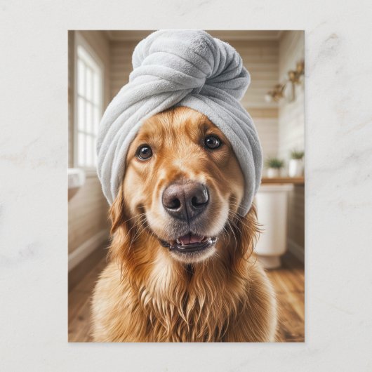 犬のスパグルーミング ポストカード (正面)