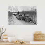 犬のスレッド配信： 1900 ポスター (キッチン)