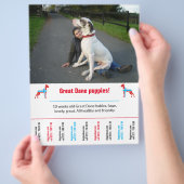 犬のチラシテンプレート印刷可能 チラシ (手)