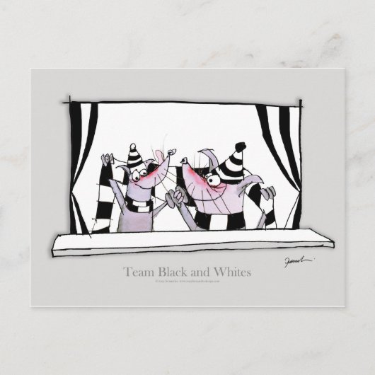 犬のチームbw ポストカード (正面)