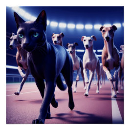 犬のトラックで犬の黒猫のリーディングパック ポスター