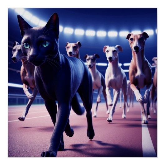 犬のトラックで犬の黒猫のリーディングパック ポスター (正面)