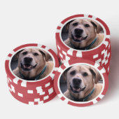 犬のトランプのポーカーチップ ポーカーチップ (積み重ね)