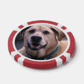 犬のトランプのポーカーチップ ポーカーチップ (シングル)