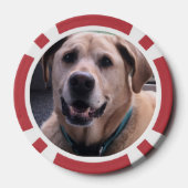 犬のトランプのポーカーチップ ポーカーチップ (裏面)