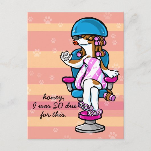 犬のトリマーアポイントメントアラーム ポストカード (正面)