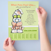 犬のトリマースパシーズー（犬）Tzuキュウリ涙シート チラシ (手)