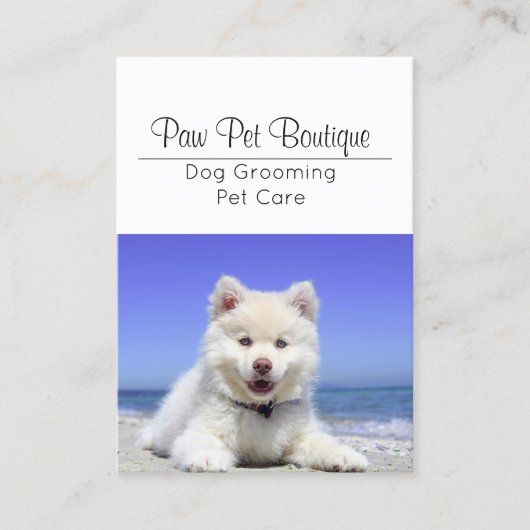 犬のトリマーペットケアパピーウォーカー 名刺 (正面)