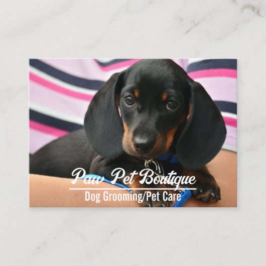 犬のトリマーペットケアパピーウォーカー 名刺 (正面)
