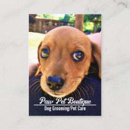 犬のトリマーペットケアパピーウォーカー 名刺