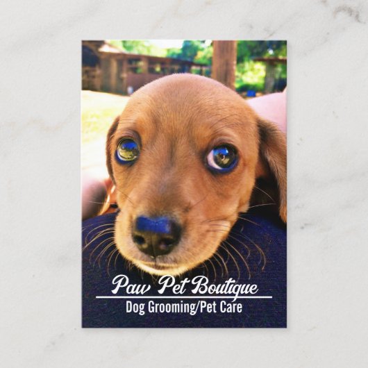 犬のトリマーペットケアパピーウォーカー 名刺 (正面)
