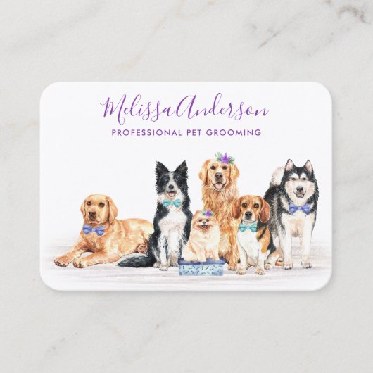 犬のトリマーペット座って水色QRコードビジネス 名刺 (正面)