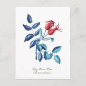 犬のバラお尻手描き水彩画 ポストカード (正面)