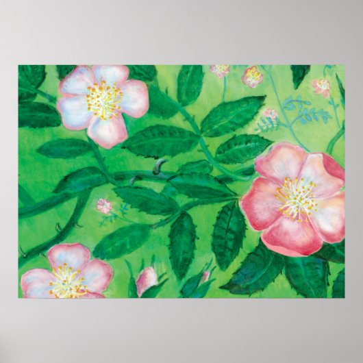 犬のバラ（ローザカニナ） ポスター (正面)