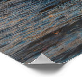 犬のバーの海海岸線に沿った灯台 ポスター (角)