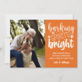 犬のバーキング精神の明るい前足オレンジのクリスマス シーズンカード (正面)