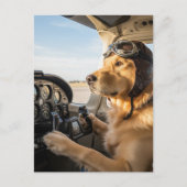 犬のパイロットが飛行機を操縦するユーモアあふれる航空機の誕生日カード、航空好きな人の誕生日 ポストカード (正面)
