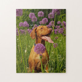 犬のパズル動物の写真かわいい悲しい子犬の子犬の写真 ジグソーパズル