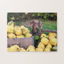 犬のパズル動物の写真かわいい悲しい子犬の子犬の写真 ジグソーパズル