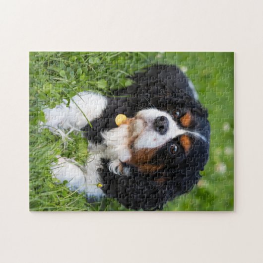 犬のパズル動物の写真かわいい悲しい子犬の子犬の写真 ジグソーパズル (横)