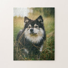 犬のパズル動物の写真かわいい悲しい子犬の子犬の写真 ジグソーパズル